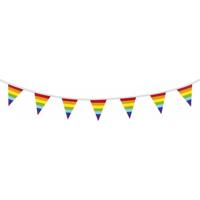 Haza Witbaard Vlaggenlijn regenboog, 10mtr.