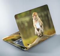 Aap laptop sticker apple Aap laptop sticker apple