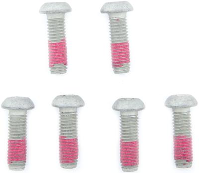TRW Screw 6pcs. for brake rotors,6 pcs.