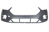 Bumper 5510002579904Q