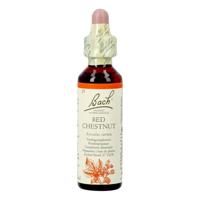 Bach Flower Remedie 25 Red Chestnut 20ml - thumbnail