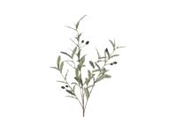 Countryfield olive 105 cm groen
