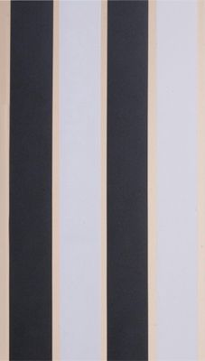 Degor Vliegengordijn Pvc Linten Zwart / Wit High Quality 90 x 220 cm
