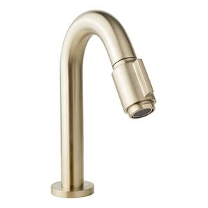 Fonteinkraan Wiesbaden Victoria | Opbouw | Koudwater kraan | Standaard model | Rond | Geborsteld messing PVD