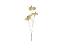 Countryfield Hibiscus steel 84 cm champagne / goud