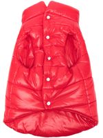 Moncler x Poldo x Poldo Dog Couture gilet matelassé - Rouge - thumbnail