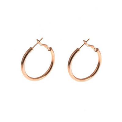Go Dutch Label Ronde Buis Creolen 2.5 Cm Rosé