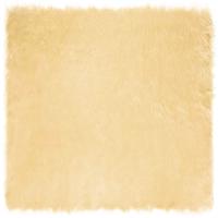 Nep Schapenvacht Tapijt Tafalla Crème 240 x 240 cm Polyester