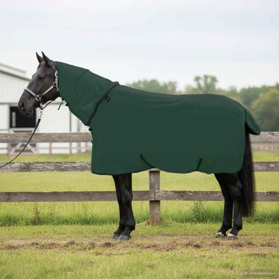 VidaXL Paardendeken volledig donkergroen polyester
