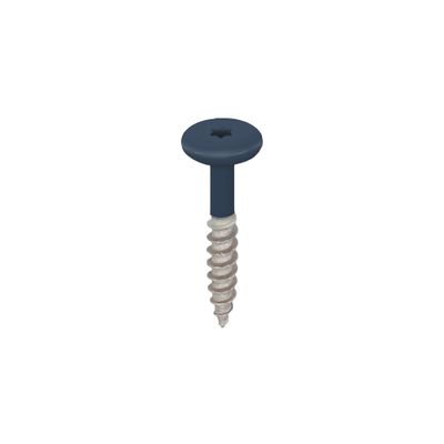 Torx schroef RVS 32 mm 100st Staalblauw - Keralit (2890)