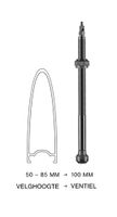 Axa Tubeless ventiel schwalbe 100mm (2 stuks)