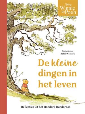 Winnie de Poeh. De kleine dingen van het leven (Hardback)