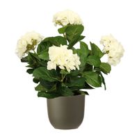 Hortensia kunstplant/kunstbloemen 45 cm - wit - in pot olijfgroen mat