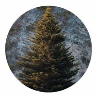 Muurcirkel Kerstboom in het Bos 50 White PVC Geen - thumbnail