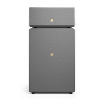 Audio Pro Drumfire II Smart Multiroom Wifi speaker Grijs