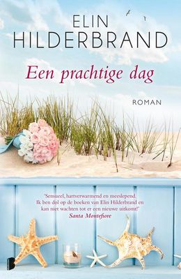 Een prachtige dag - Elin Hilderbrand - ebook
