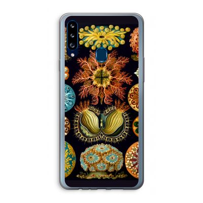 Haeckel Ascidiae: Samsung Galaxy A20s Transparant Hoesje