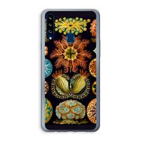 Haeckel Ascidiae: Samsung Galaxy A20s Transparant Hoesje
