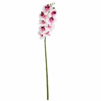 Kunstbloem Phalaenopsis wit/roze 86 cm | 12 stuks