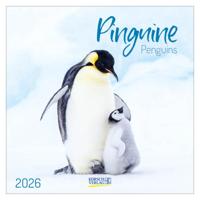 Pinguïns Kalender 2026