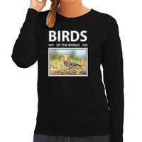 Hop vogels sweater / trui met dieren foto birds of the world zwart voor dames - thumbnail