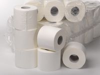 PM toiletpapier 400 vel cellulose 2-laags (6 rol)