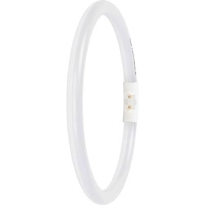 LEDVANCE LED-buis-Buis Energielabel: D (A - G) T5 11.6 W Neutraalwit 1 stuk(s) (Ø x l) 16.50 mm x 225.00 mm LEDVANCE LED-buis-Buis Energielabel: D (A - G) T5 11.6 W Neutraalwit 1 stuk(s) (Ø x l) 16.50 mm x 225.00 mm