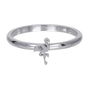 iXXXi Vulring Symbol Flamingo Zilver