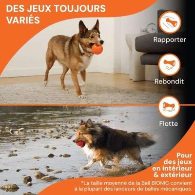 Hondenspeelgoed - BIONIC - Bal - Middelgroot 6,7 cm - Ultrasterk rubber - lood-, BPA- en ftalaatvrij