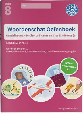 Woordenschat (Paperback)