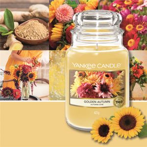 Yankee Candle Golden Autumn Large Jar (Gross/Grande) kaars Cylinder Citrus, Gember, Muskus, Patchoeli, Vetiver Goud 1 stuk(s)
