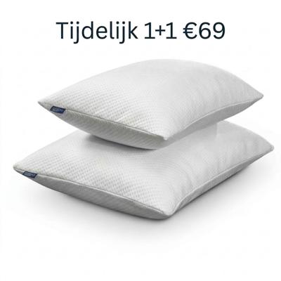 Essence Droomwolk - Aanpasbaar Traagschuimkussen (60x40 cm)