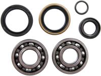 ALL BALLS Racing krukas lagerset crankshaft bearing set ab 24-1099 with simmerrings