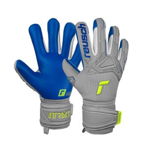 Reusch Attrakt Freegel Silver