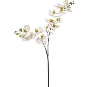 Kunstbloem Orchidee - 100 cm - wit/groen - losse tak - kunst zijdebloem - Phalaenopsis