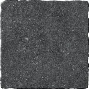 Bluestone Noir vloertegel beton look 20x20 cm antraciet mat