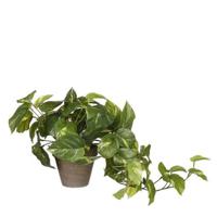 Mica Decorations Pothos Kunstplant - 17x17x44 cm - Groen - thumbnail