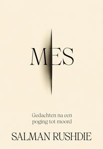 Mes - Salman Rushdie - ebook