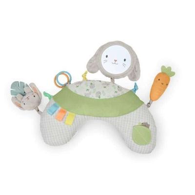 INGENUITY Sylvi Baby Speelmat voor Buiktijd met Multi-Sensorisch Speelgoed
