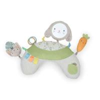 INGENUITY Sylvi Baby Speelmat voor Buiktijd met Multi-Sensorisch Speelgoed