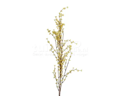 Decoratietak Gele Jasmijn 142cm
