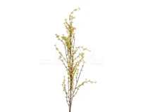 Decoratietak Gele Jasmijn 142cm
