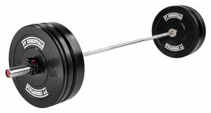 PTessentials CROSSFIT PRO WOMENS Bumperplate Halterset