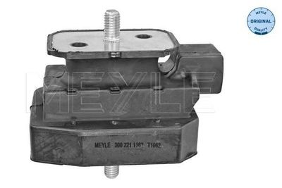 Ophanging, automatische transmissie 3002211162