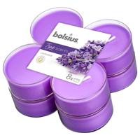 Bolsius Maxilicht geur 8 stuks Lavendel Bolsius Maxilicht geur 8 stuks Lavendel