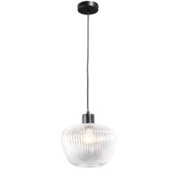 Leen Bakker - Hanglamp Yosemite - Helder/mat Zwart - Ø25x120 Cm - Metaal/Glas - Zwart#Transparant