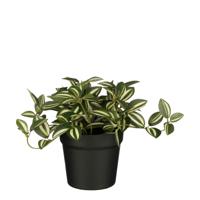 Kunstplant mica tradescantia in pot groen | 6 stuks
