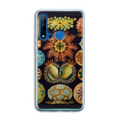 Haeckel Ascidiae: Huawei P20 Lite (2019) Transparant Hoesje