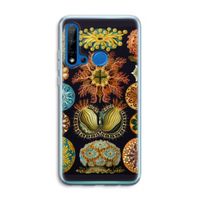 Haeckel Ascidiae: Huawei P20 Lite (2019) Transparant Hoesje