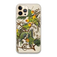 Carolinaparkiet: iPhone 13 Pro Max Transparant Hoesje